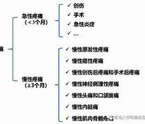 西珲两队紧张对决，豪门实力不容忽视